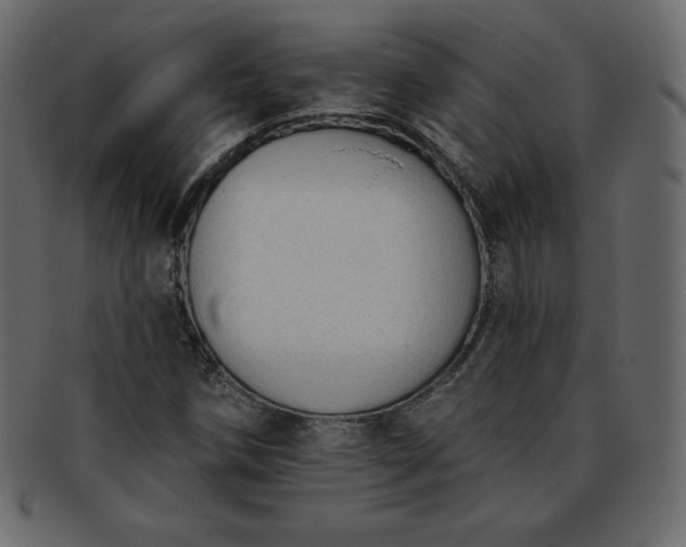 X0000093361258200710191050