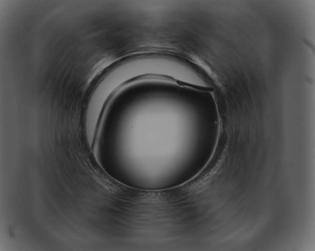 X0000093361259200710191050