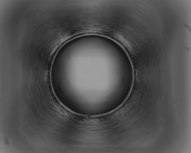 X0000093361260200710191050