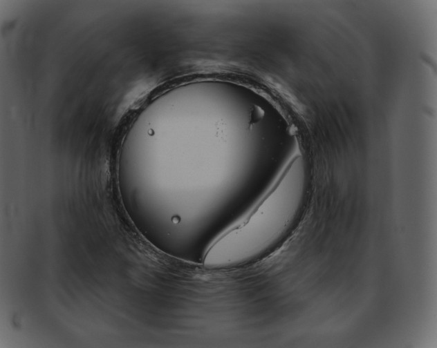 X0000093361261200710191050