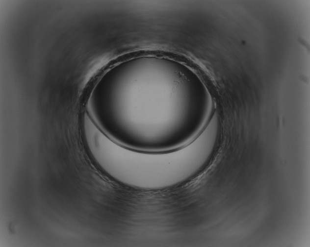 X0000093361263200710191050
