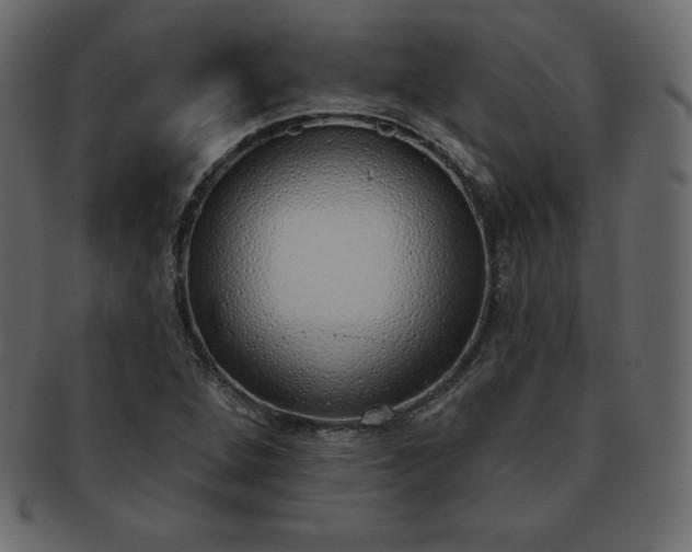X0000093361264200710191050