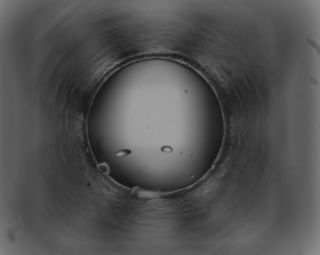 X0000093361265200710191050