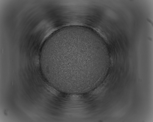 X0000093361266200710191050