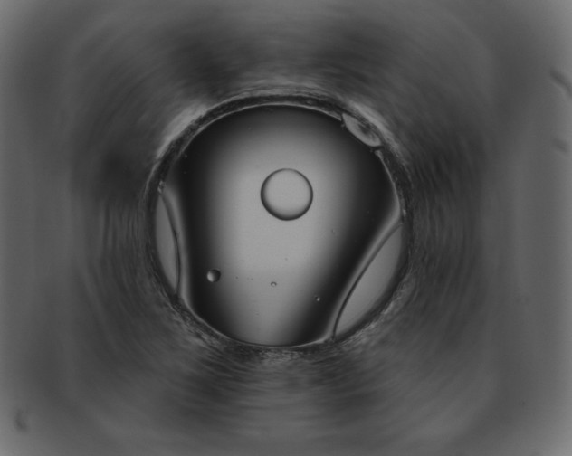 X0000093361267200710191050