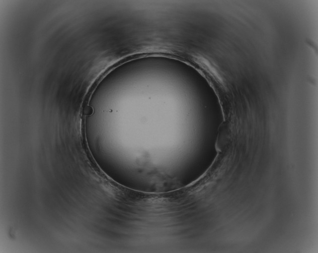 X0000093361268200710191050