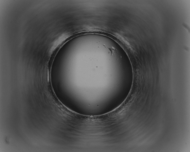X0000093361269200710191050