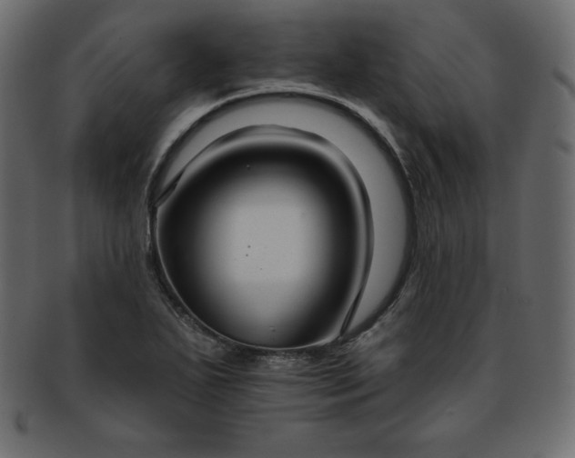 X0000093361271200710191050