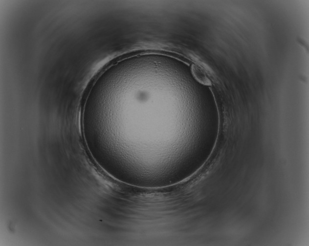 X0000093361272200710191050