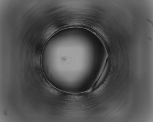 X0000093361273200710191050