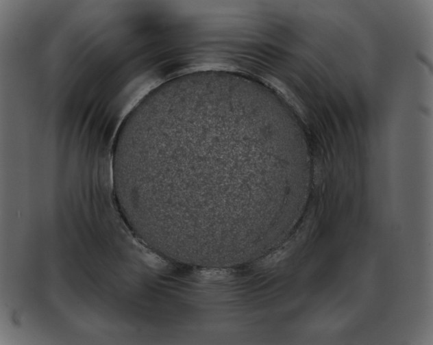 X0000093361274200710191050
