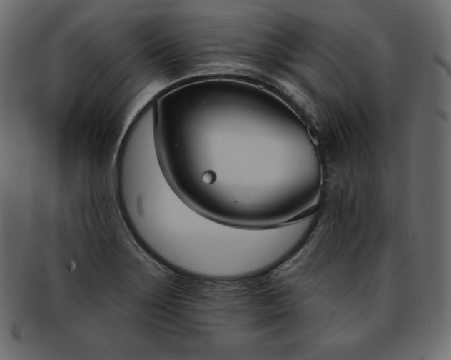 X0000093361275200710191050