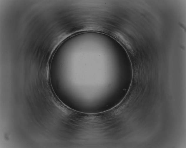 X0000093361276200710191050