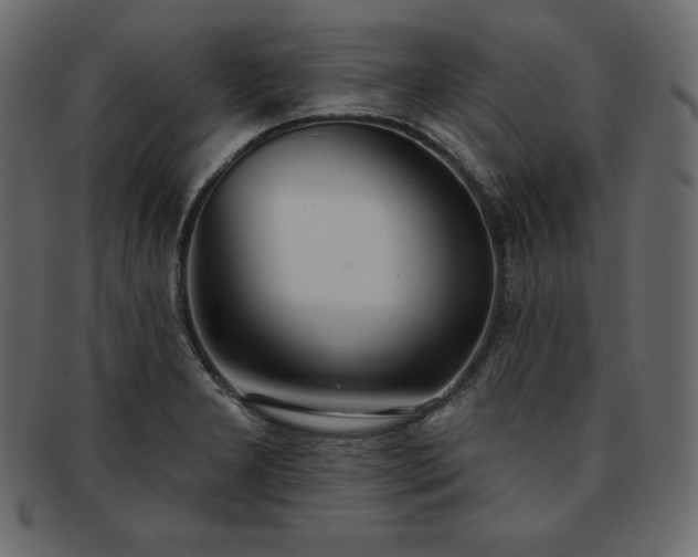 X0000093361277200710191050