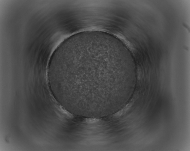 X0000093361278200710191050
