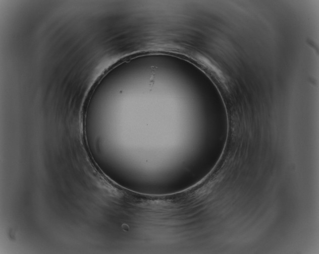 X0000093361280200710191050