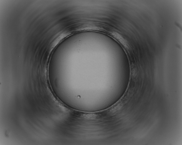 X0000093361282200710191050
