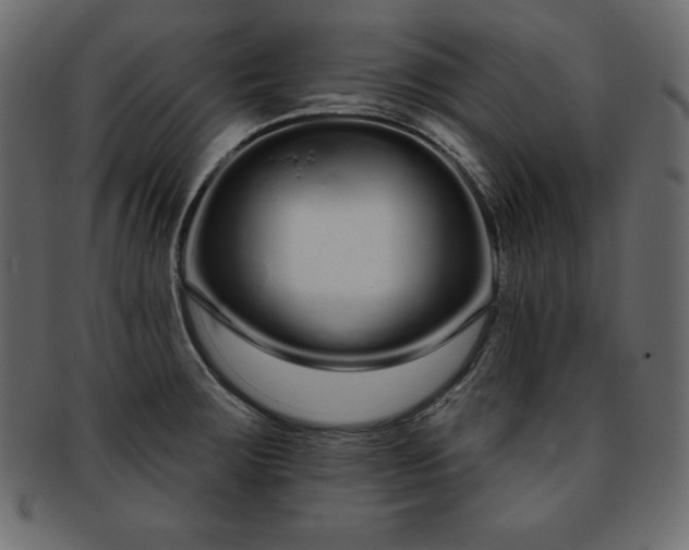 X0000093361283200710191050