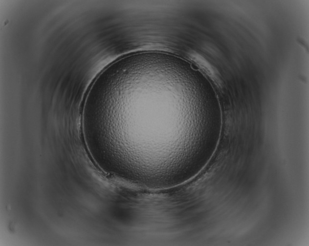 X0000093361284200710191050