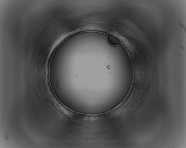 X0000093361286200710191050