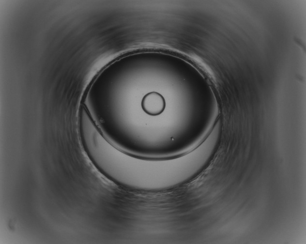 X0000093361287200710191050