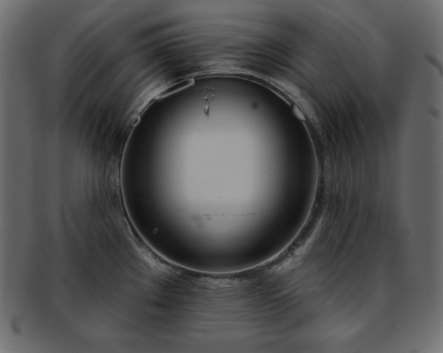 X0000093361289200710191050