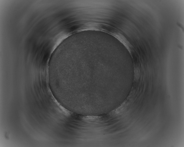 X0000093361290200710191050