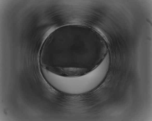 X0000093361291200710191050