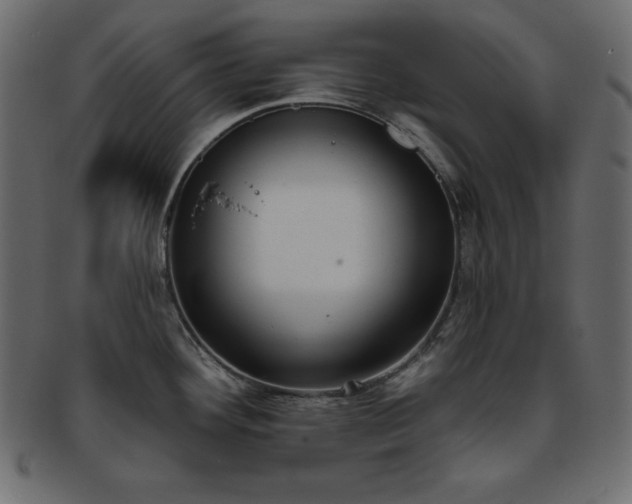 X0000093361292200710191050