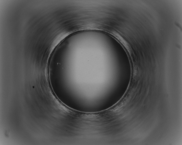 X0000093361293200710191050