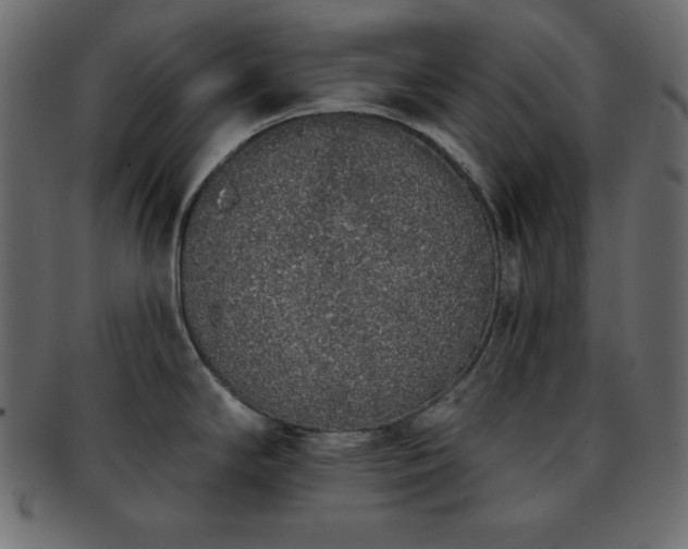 X0000093361294200710191050