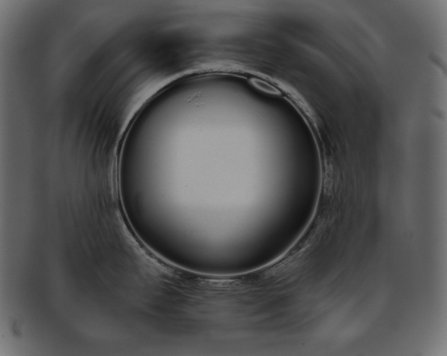 X0000093361295200710191050