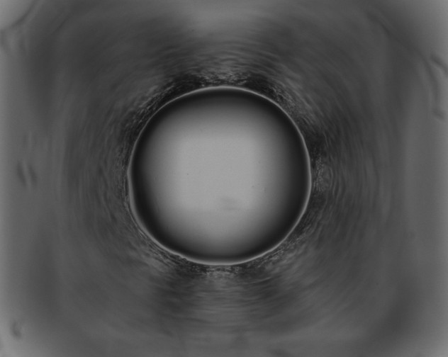 X0000093361297200710191049