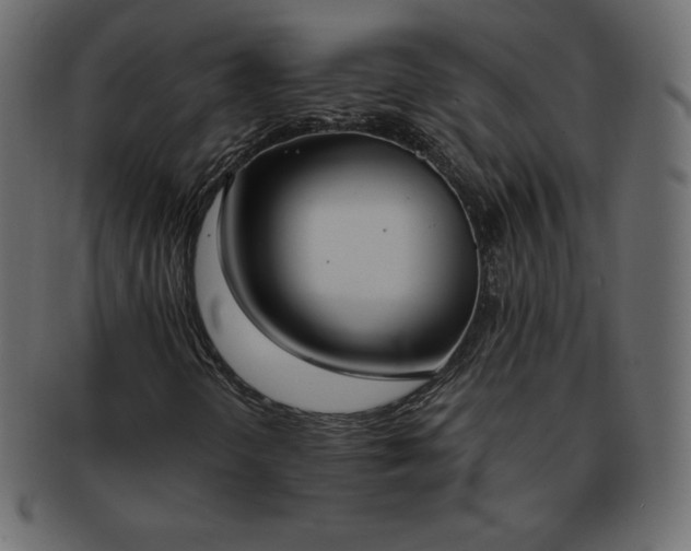 X0000093361298200710191049