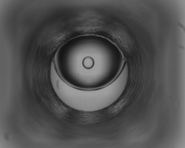 X0000093361300200710191049