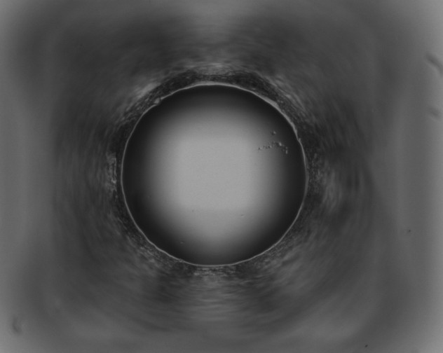 X0000093361301200710191049