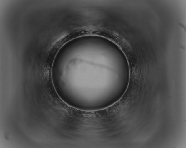 X0000093361302200710191049