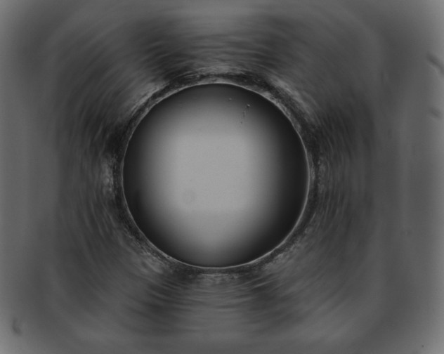 X0000093361305200710191049