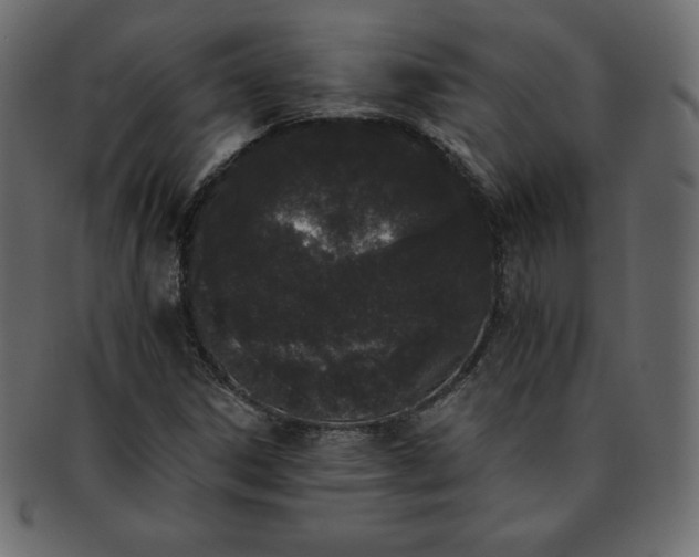 X0000093361306200710191049