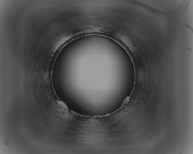X0000093361308200710191049