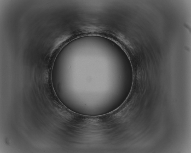 X0000093361309200710191049