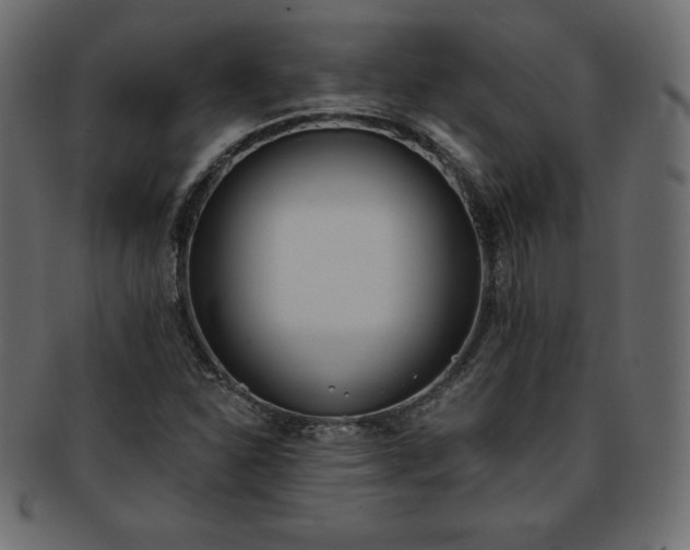 X0000093361310200710191049