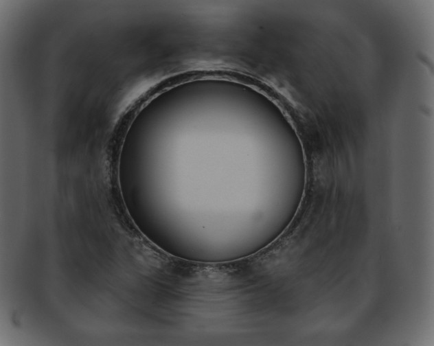 X0000093361311200710191049