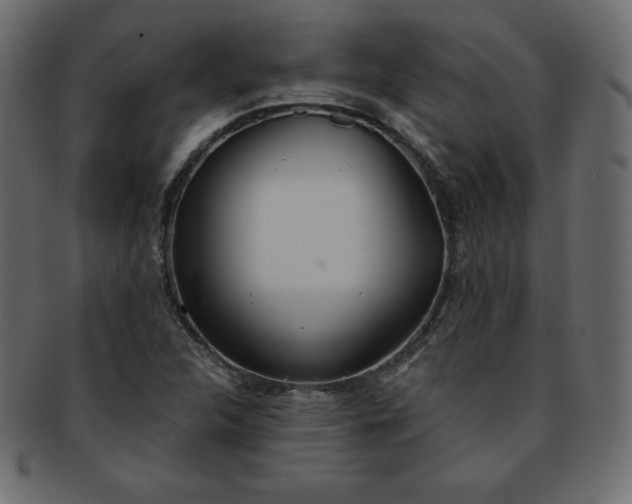 X0000093361312200710191049
