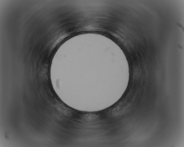 X0000093361314200710191049