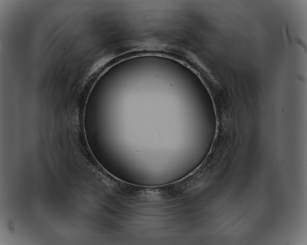 X0000093361315200710191049