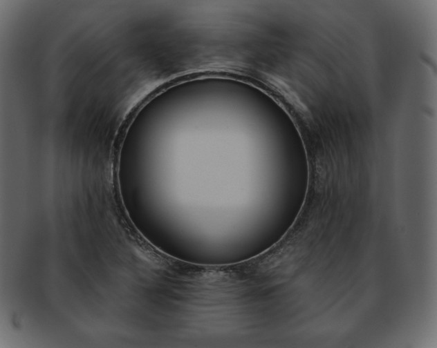 X0000093361316200710191050