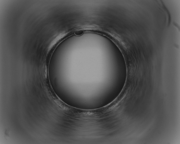 X0000093361317200710191050