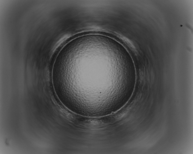 X0000093361318200710191050