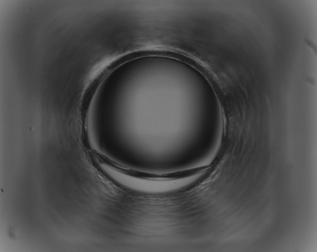 X0000093361319200710191050